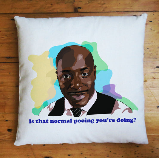 Alan Johnson Peep Show Funny Normal Pooing Quote Cushion Cover Gift Christmas Stocking Filler